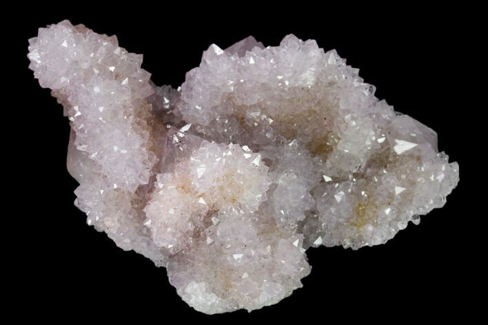 Cactus Quartz (Amethyst) Crystal Cluster - South Africa #137775